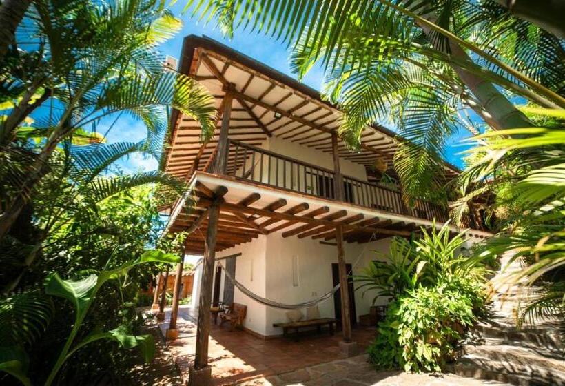 هتل Masaya Achiotte   Suite   Colombia