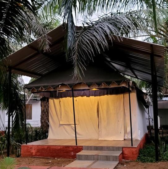 渡假胜地  Sou Palms