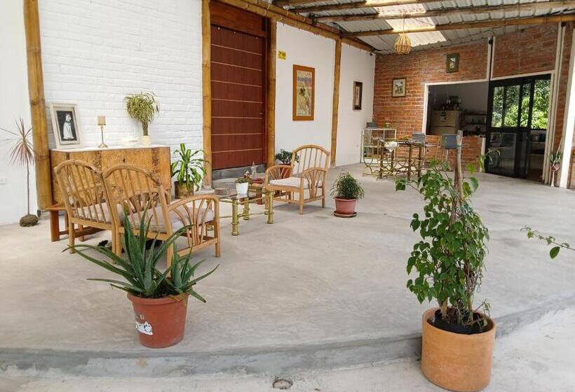 مبيت وإفطار Fevu Vera Forest House