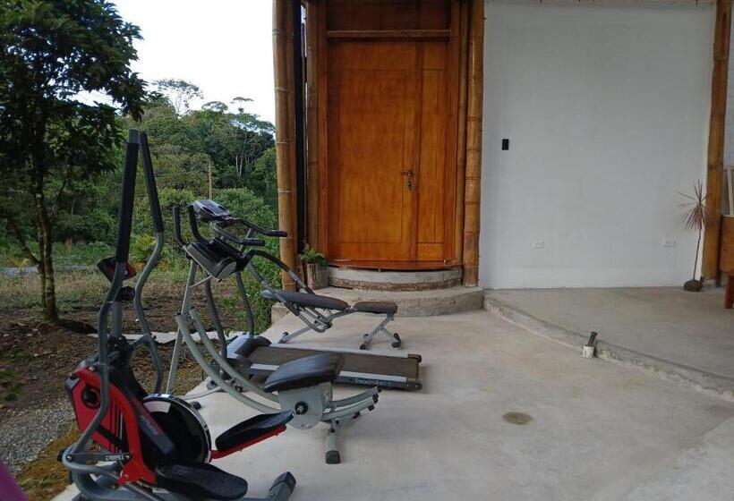 مبيت وإفطار Fevu Vera Forest House
