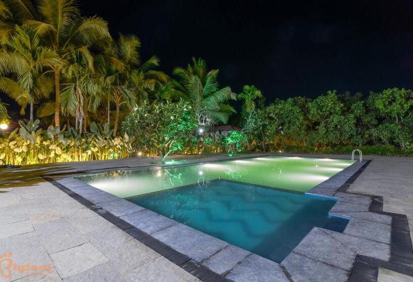Jomo Resort