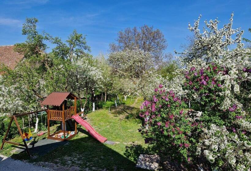 פנסיון Casa 7 Sate Apartament