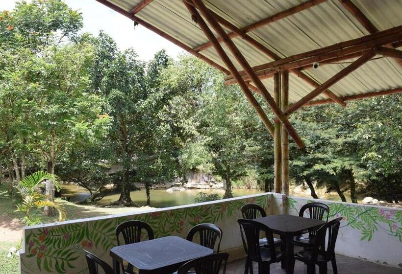 ホテル Rancho La Critalina