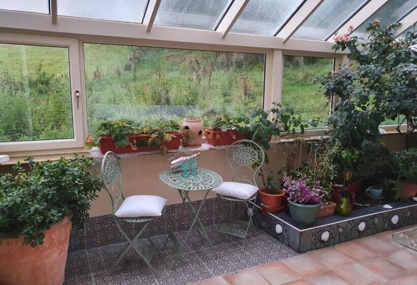 بنسيون Bayview Bed & Breakfast