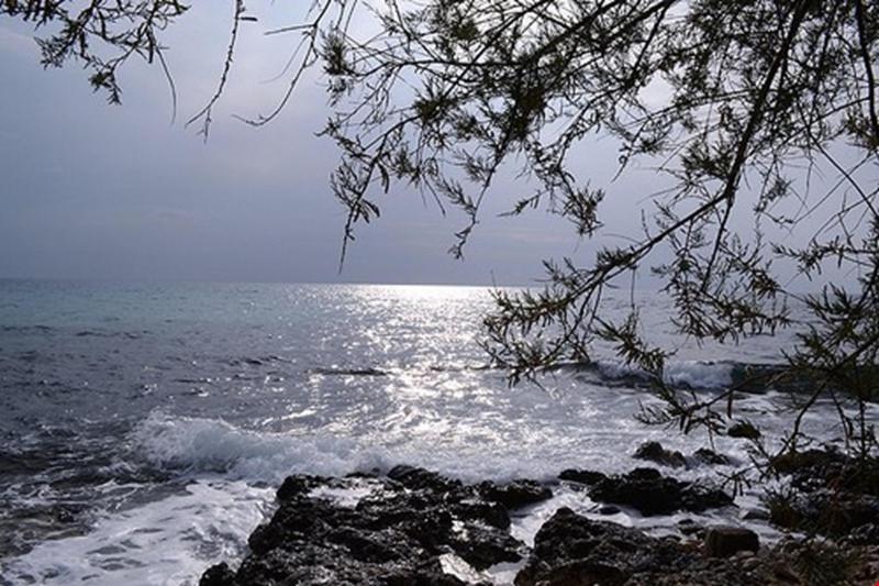فندق Del Mare