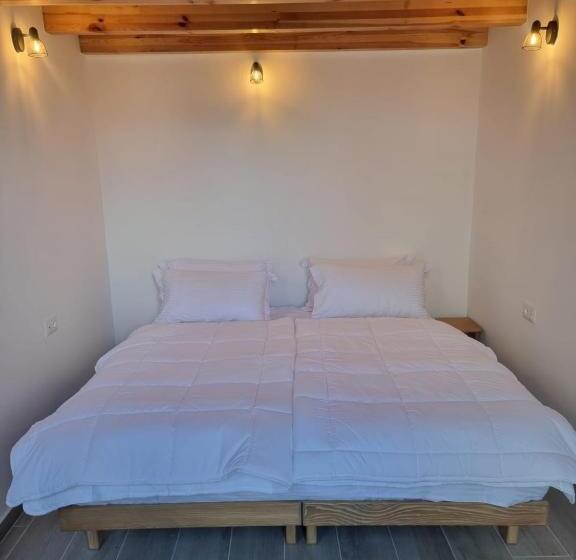 بنسيون Gogo Moustache Guest House