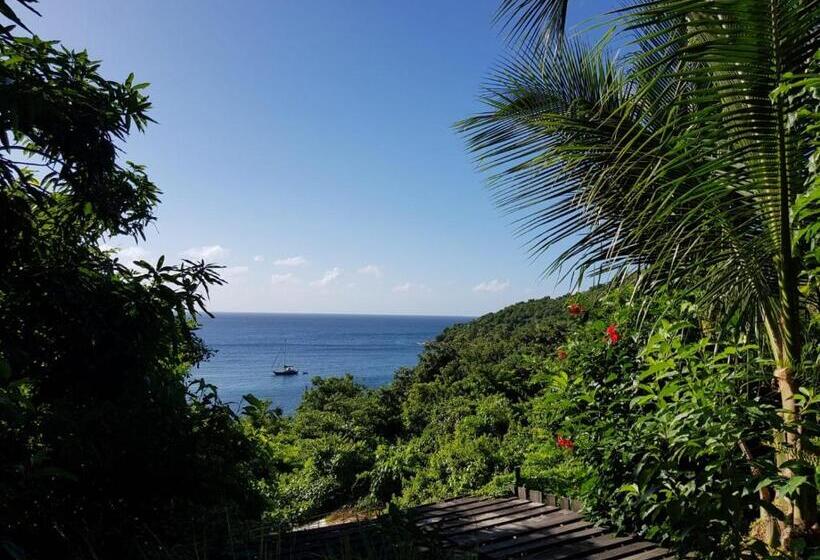 بنسيون L Atelier Gîtes Des Koalas