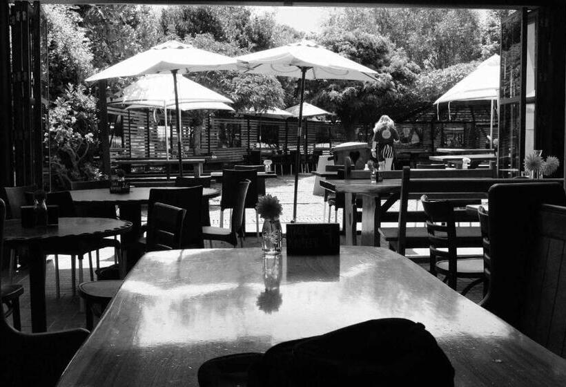 فندق صغير Leigh Sawmill Accomodation