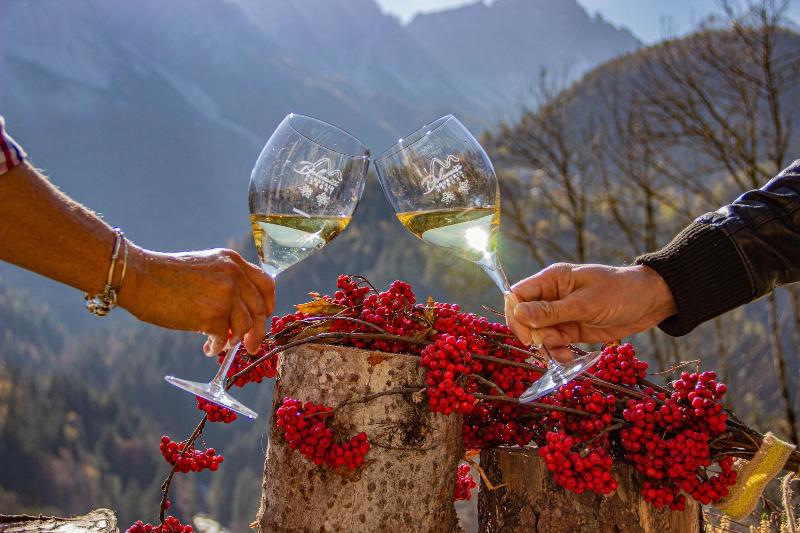 酒店 Dolomiti Lodge Villa Gaia