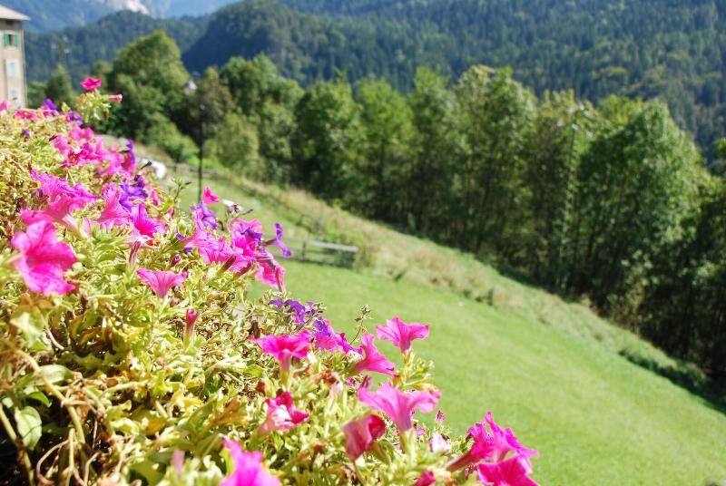 酒店 Dolomiti Lodge Villa Gaia