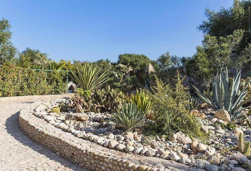 تختخواب و صبحانه Riad Des 1001 Fleurs