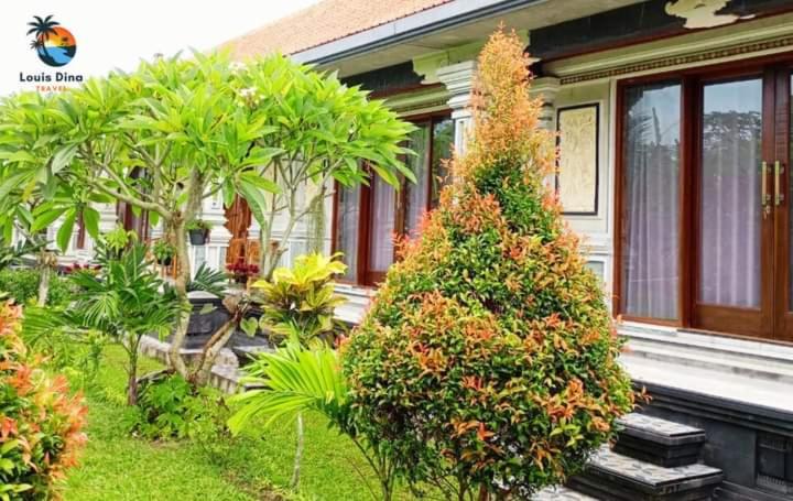 ペンション Dana Guest House