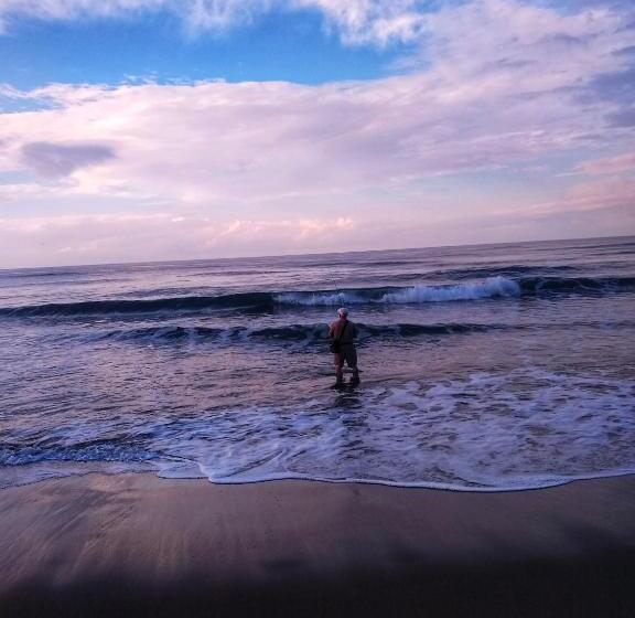 펜션 Oceanic Playa Matapalo