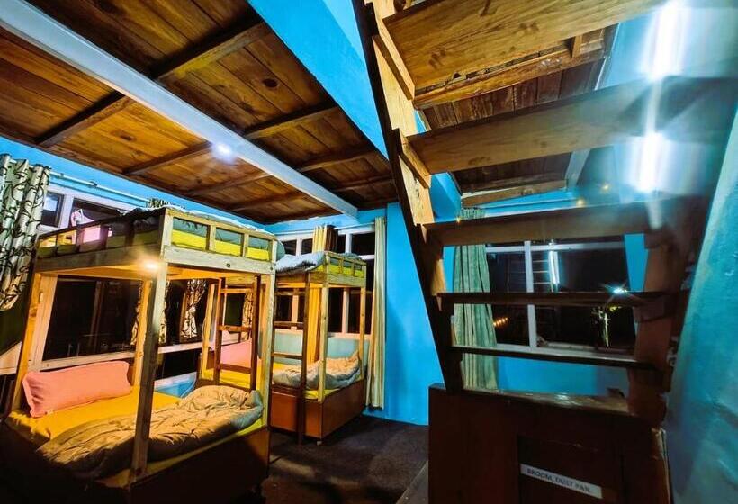 Vibe Hostel