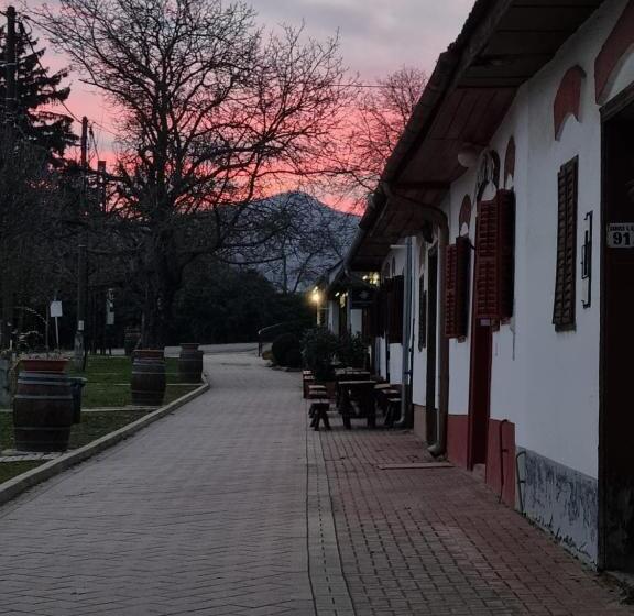 مبيت وإفطار Credo Panzió