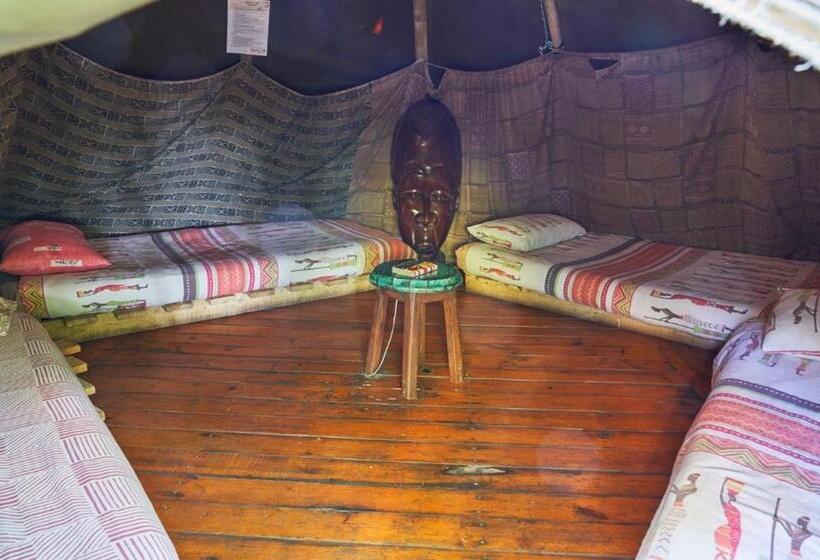 旅馆 Mantis And Moon Surf Paradise & Adventure Lodge