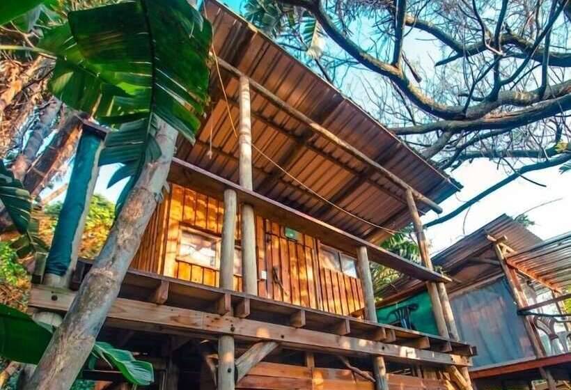 旅馆 Mantis And Moon Surf Paradise & Adventure Lodge