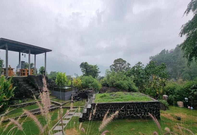 膳宿费 Onion Garden And Natural Hotspring