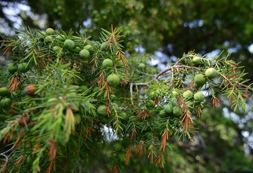 Отель La Ratina Azienda Agricola   Agriturismo   Enoturismo