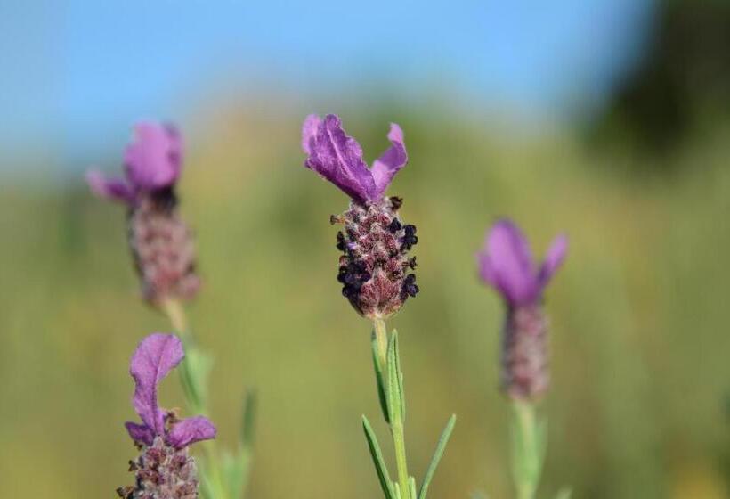 Отель La Ratina Azienda Agricola   Agriturismo   Enoturismo