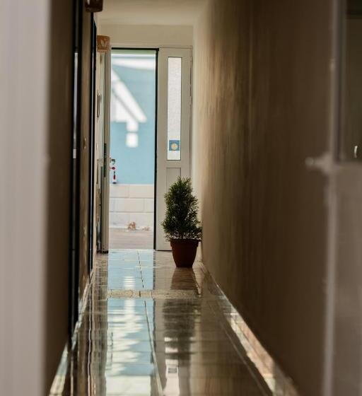 펜션 Affittacamere Anemone  Scirocco1 By Casavacanze Di Angelo