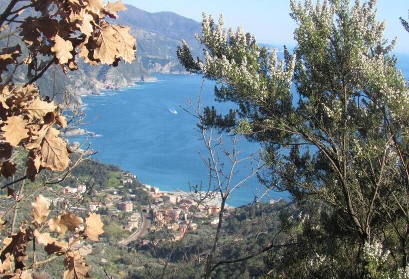 مبيت وإفطار Green Quiet Affittacamere