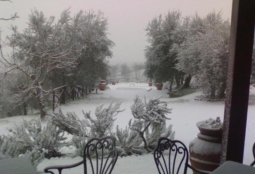 Cortebella B&b Rimini