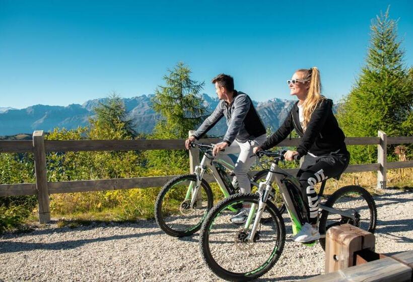 فندق Chalet Caminetto