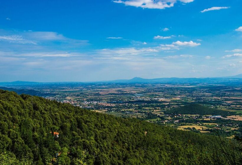 فندق Palazzo Brandano