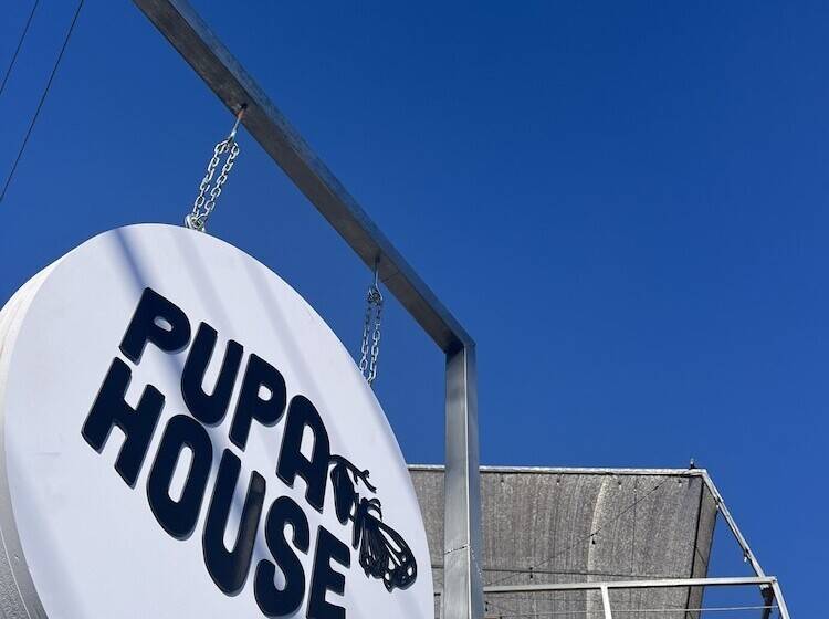 هاستل Pupa House