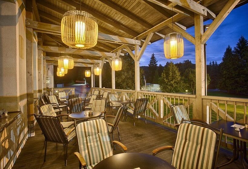 호텔 Pod Lipou Resort