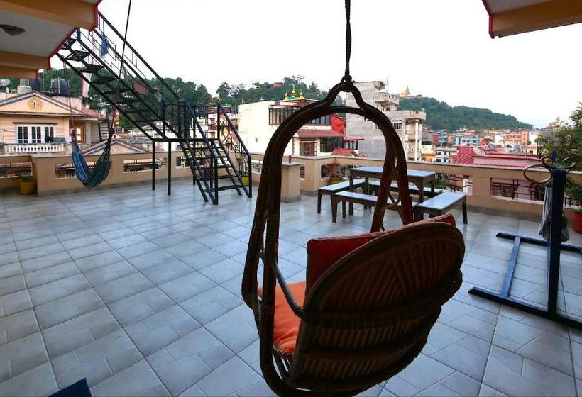 The Sparkling Turtle Backpackers Hostel