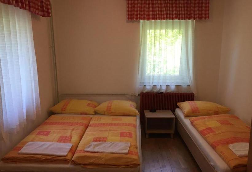 Definitivo viudo Finanzas Youth Hostel Nika en Kranjska Gora | Destinia