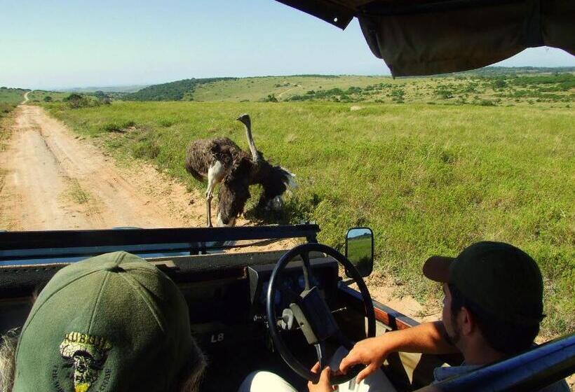 فندق صغير Buccaneers Beach Lodge, Chintsa, South Africa
