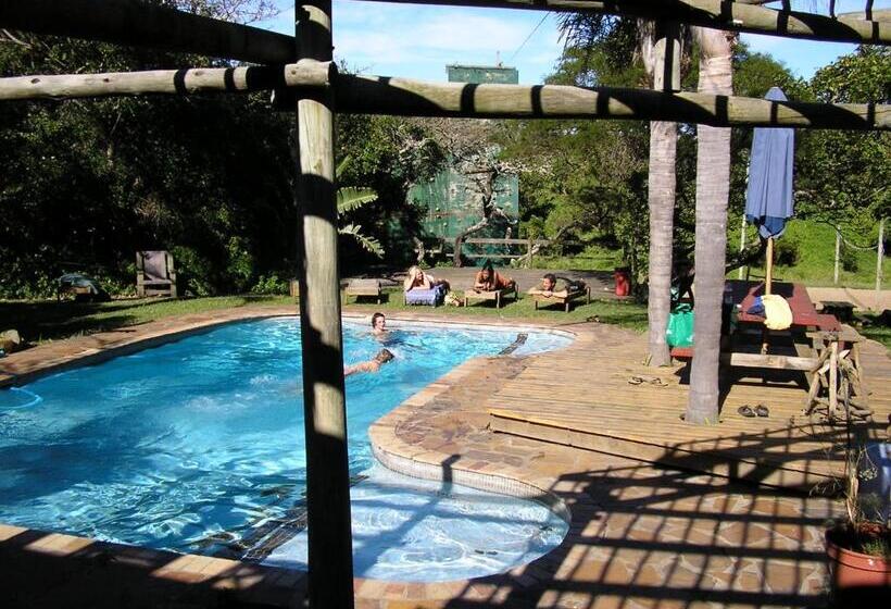 فندق صغير Buccaneers Beach Lodge, Chintsa, South Africa