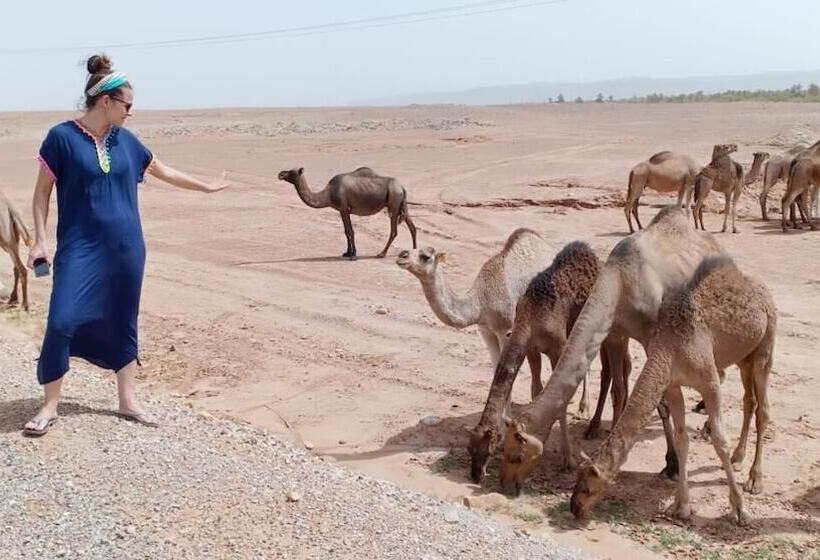 تختخواب و صبحانه Riad De Reve