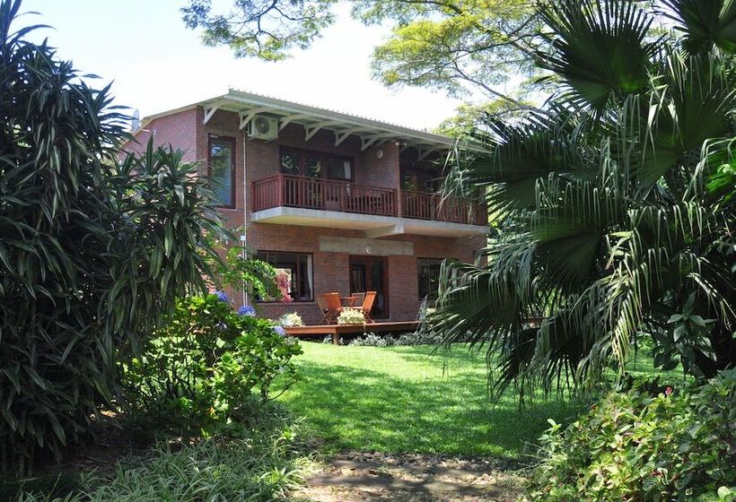 Birds Of Paradise B&b