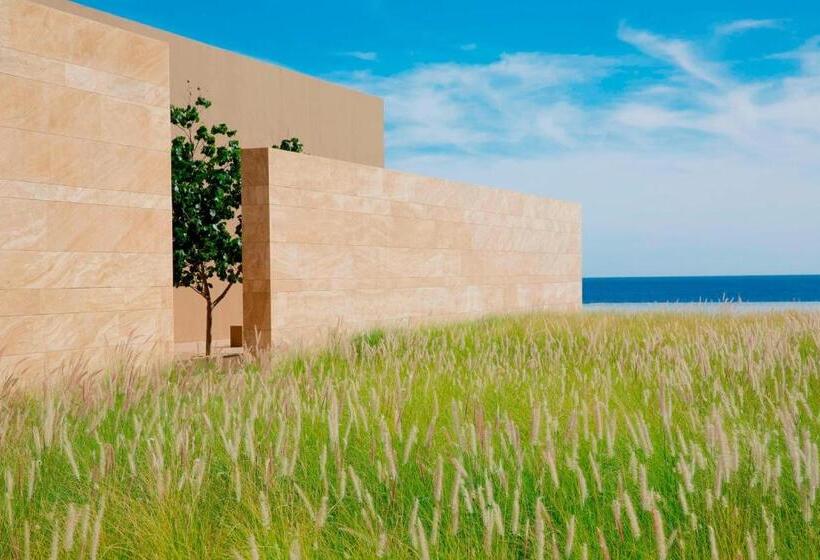 هتل Jw Marriott Los Cabos Beach Resort & Spa