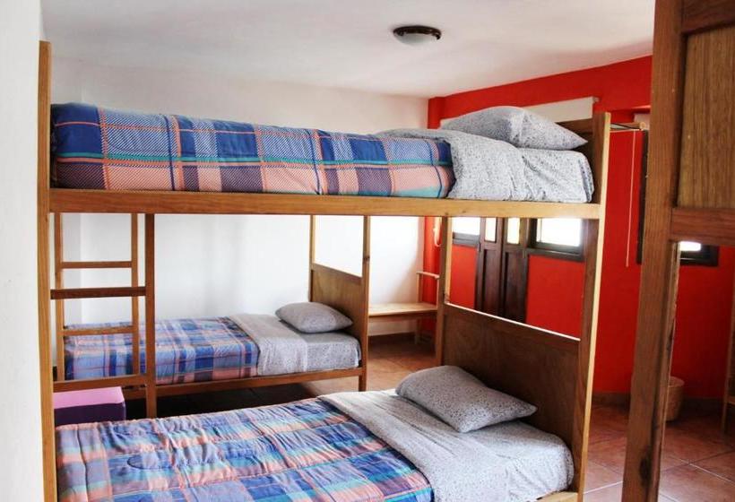 هاستل Hostal De San Pedro
