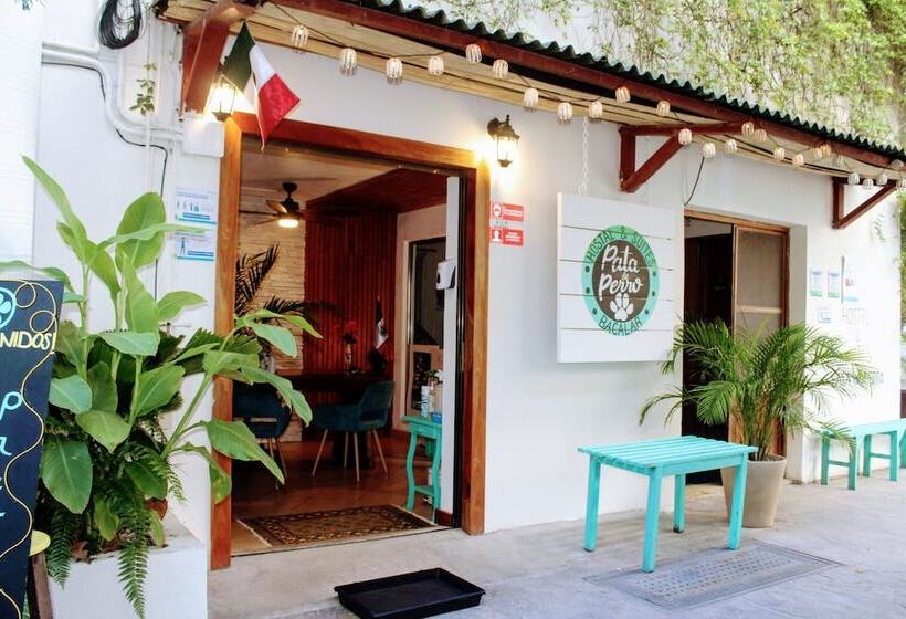 هاستل Hostal & Suites Pata De Perro
