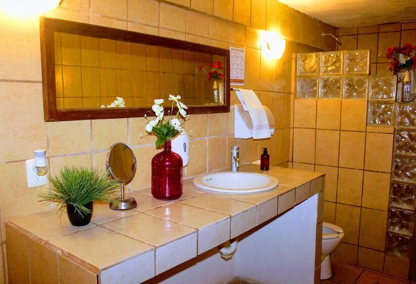 هاستل Hostal & Suites Pata De Perro