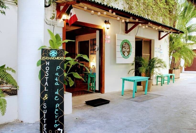 هاستل Hostal & Suites Pata De Perro