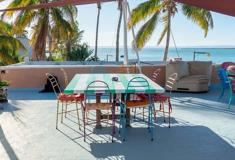 تختخواب و صبحانه Casa Kootenay Waterfront Bnb