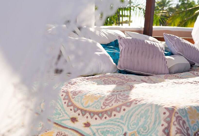 تختخواب و صبحانه Casa Kootenay Waterfront Bnb