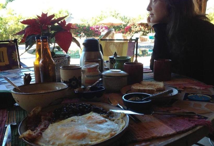 تختخواب و صبحانه Serendipity