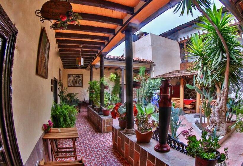 Hotel Del Carmen