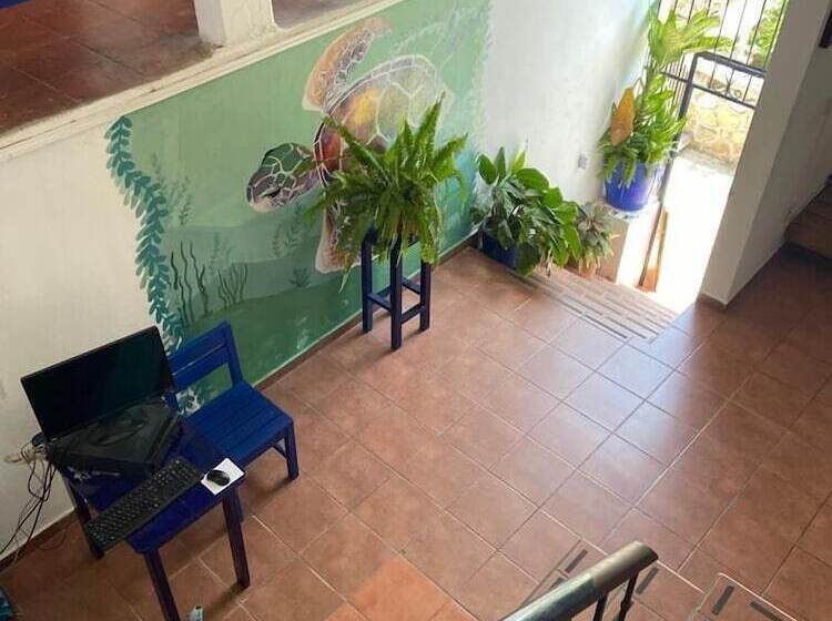 هتل & Hostal Mayflower