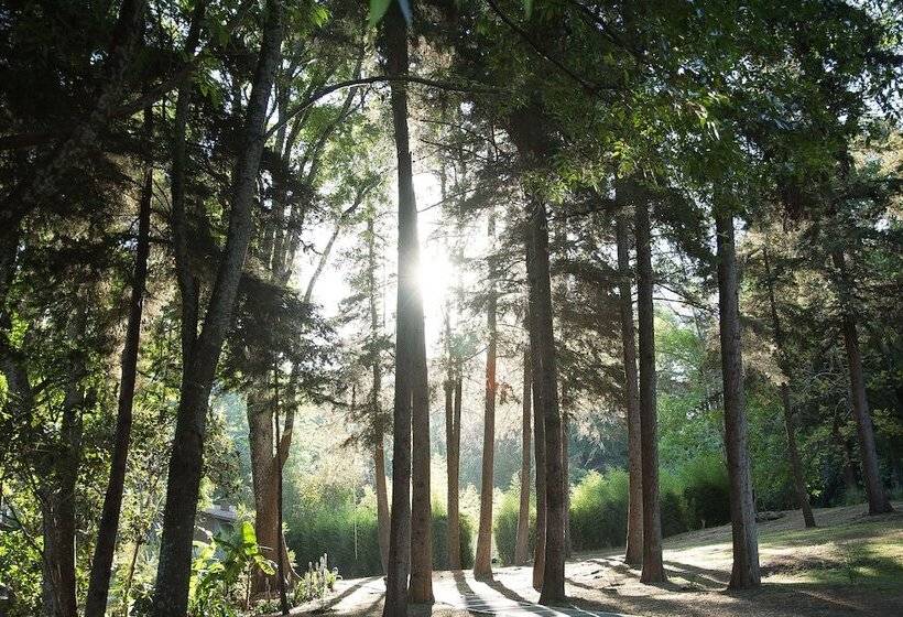 هتل Rancho San Cayetano