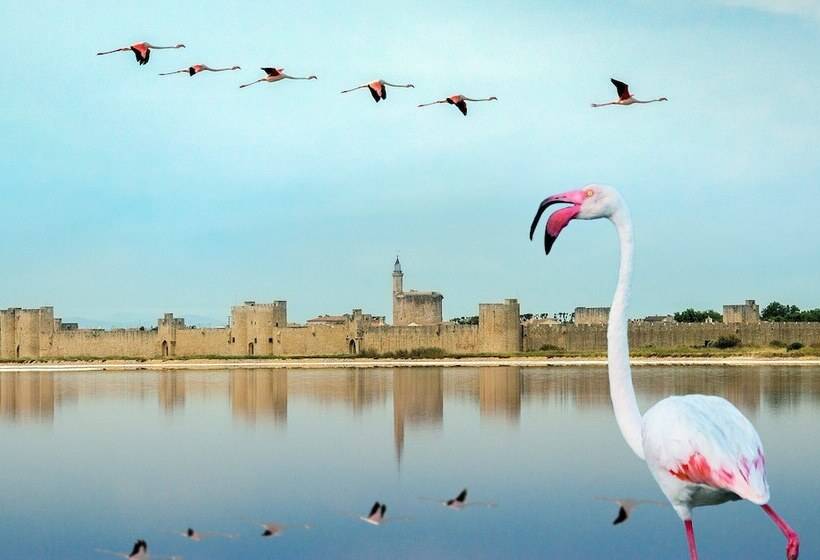 پانسیون La Peniche   Bed And Bicycle   Aigues Mortes