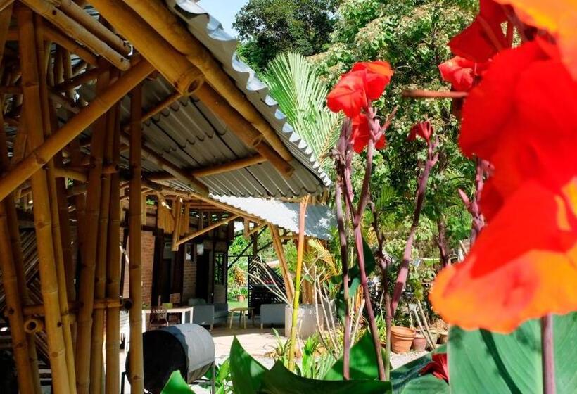 酒店 Bamboo Cottage Langkawi
